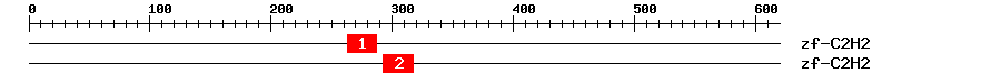 Signature Domain