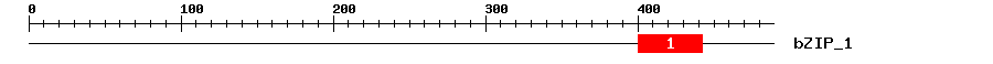 Signature Domain