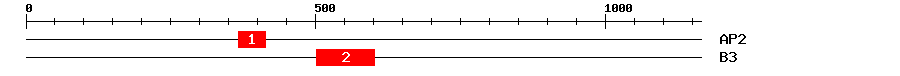 Signature Domain