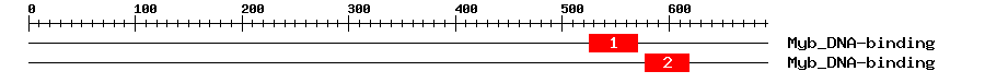 Signature Domain