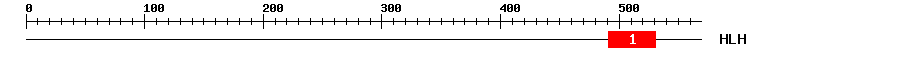 Signature Domain