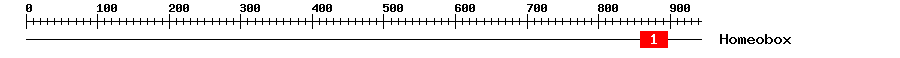 Signature Domain