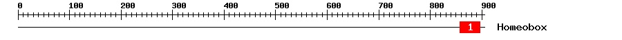 Signature Domain