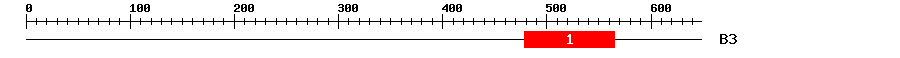 Signature Domain
