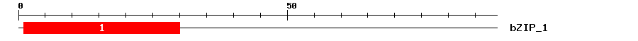 Signature Domain