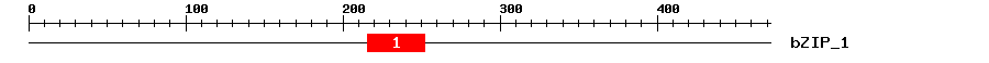 Signature Domain