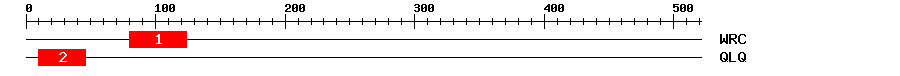 Signature Domain