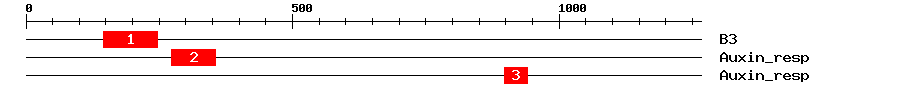 Signature Domain