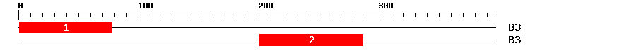 Signature Domain