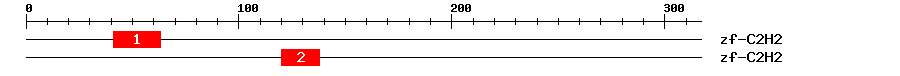 Signature Domain