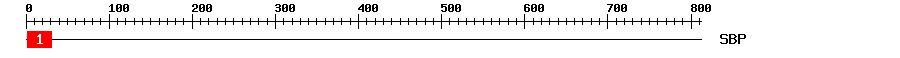 Signature Domain