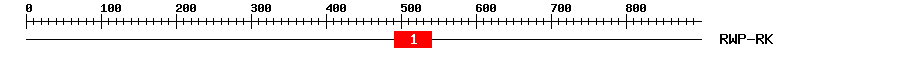 Signature Domain