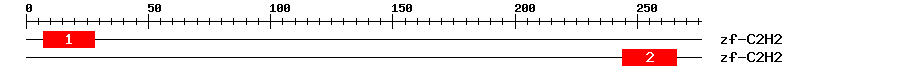 Signature Domain