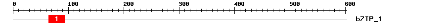 Signature Domain
