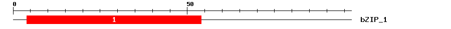 Signature Domain