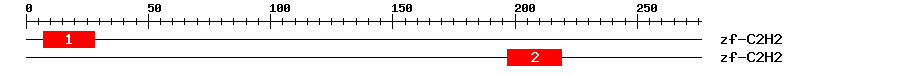Signature Domain