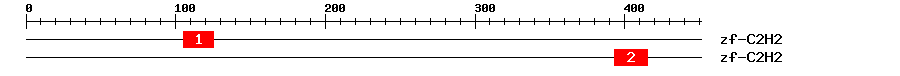 Signature Domain