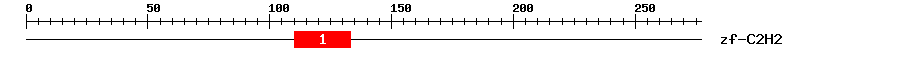 Signature Domain