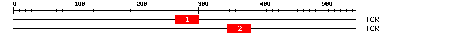 Signature Domain