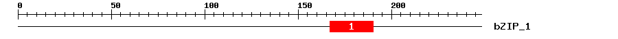 Signature Domain