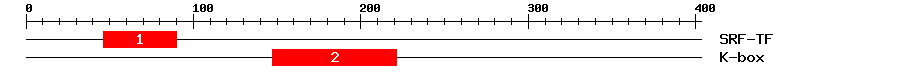 Signature Domain