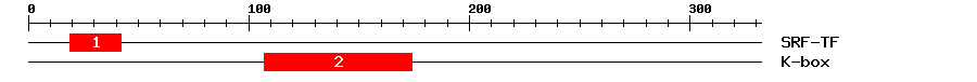 Signature Domain