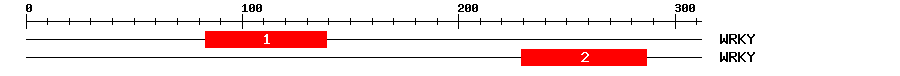 Signature Domain