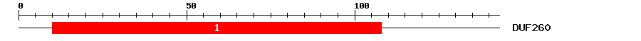 Signature Domain