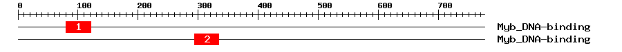 Signature Domain