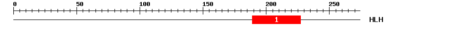 Signature Domain