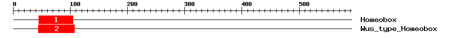 Signature Domain