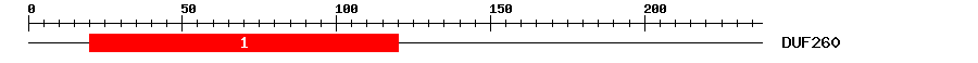 Signature Domain