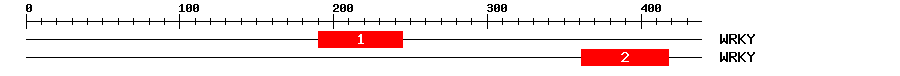 Signature Domain