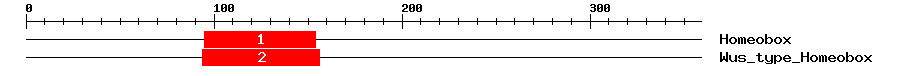 Signature Domain
