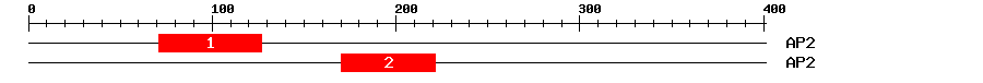 Signature Domain