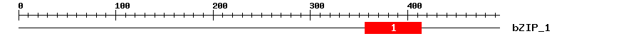Signature Domain
