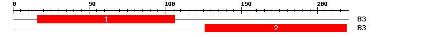 Signature Domain