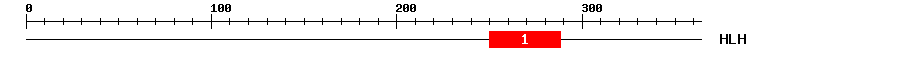 Signature Domain