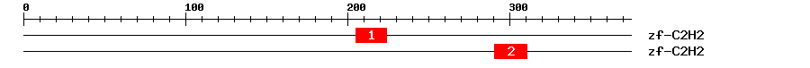 Signature Domain