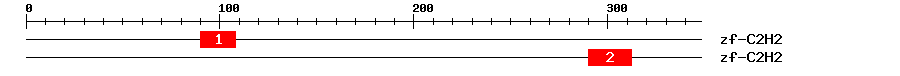Signature Domain