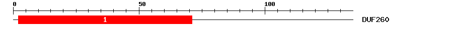 Signature Domain