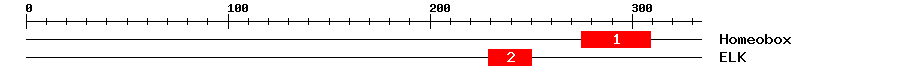 Signature Domain