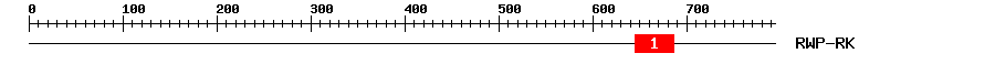 Signature Domain