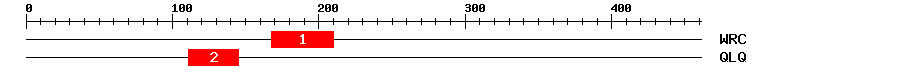 Signature Domain