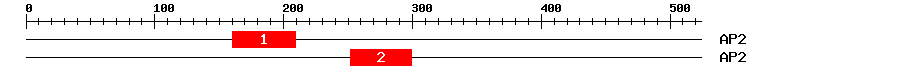 Signature Domain
