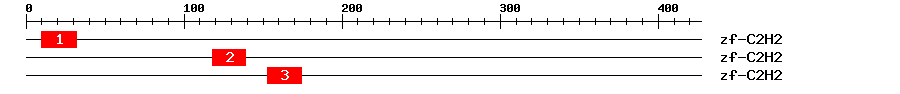 Signature Domain