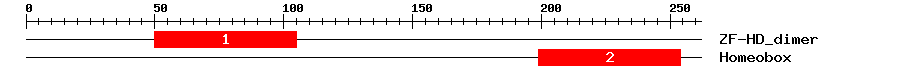 Signature Domain