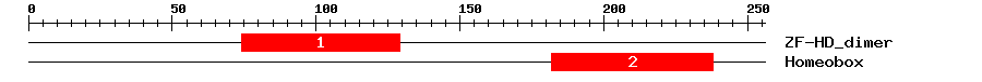 Signature Domain