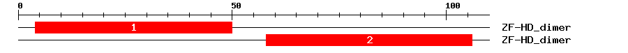 Signature Domain
