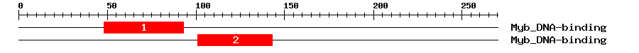 Signature Domain